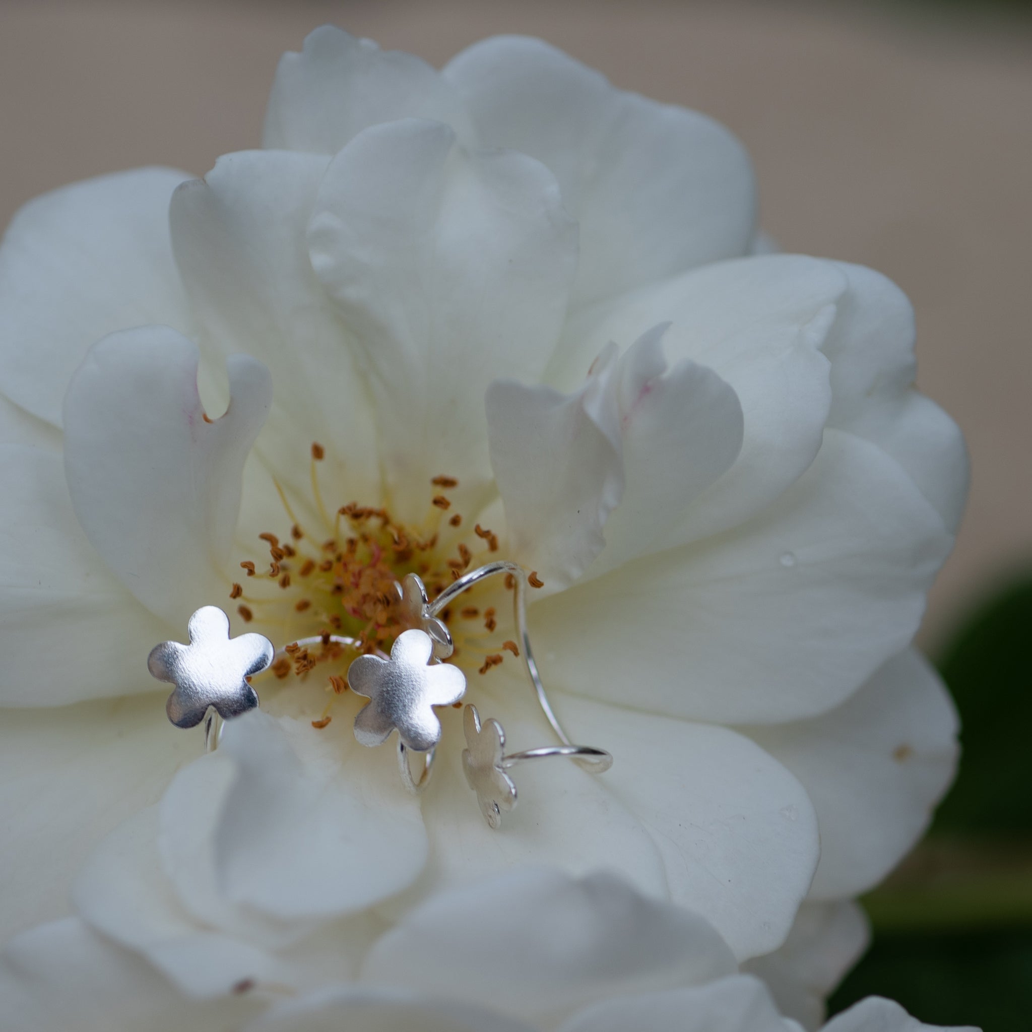 EC007 - 925 Sterling Silver Flower Ear Cuffs