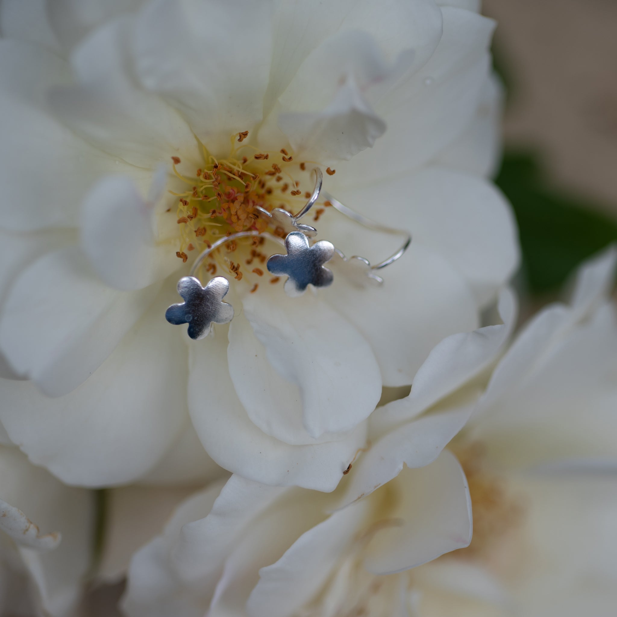EC007 - 925 Sterling Silver Flower Ear Cuffs