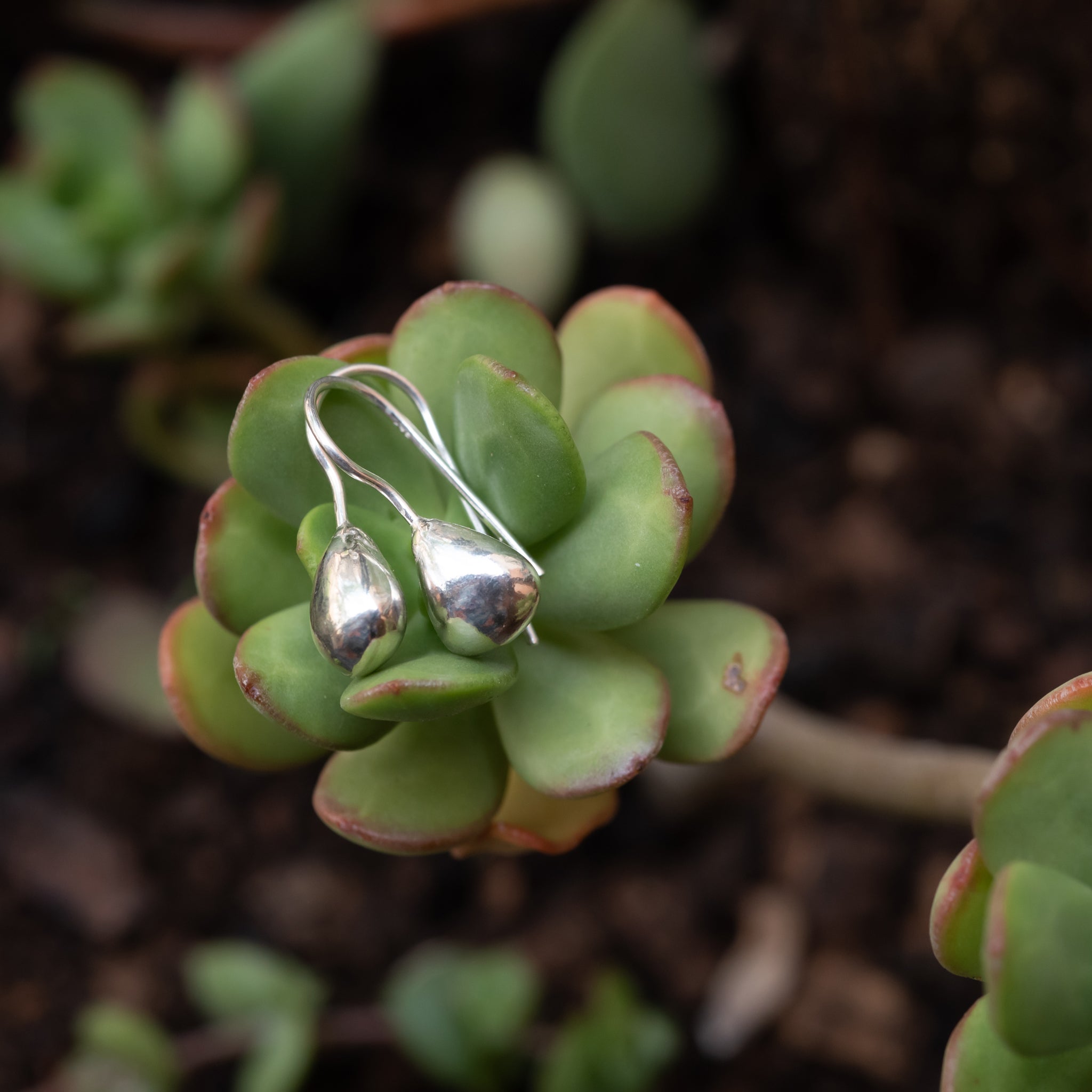JEL017 - Sterling Silver Drop Hook Earrings