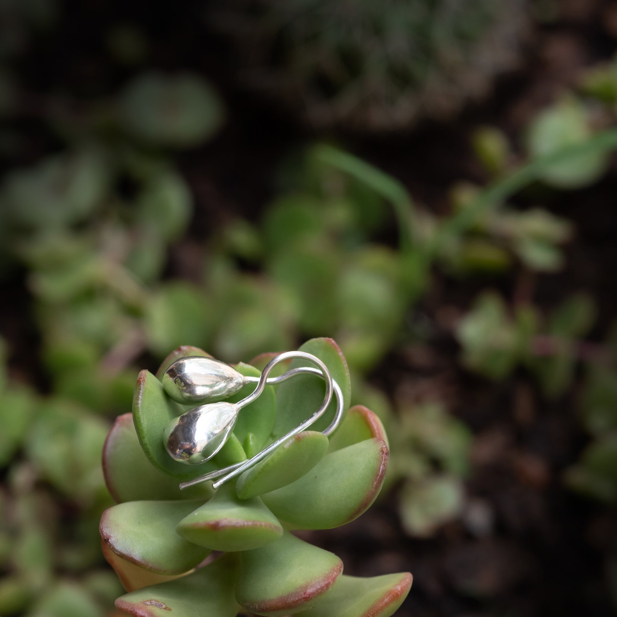 JEL017 - Sterling Silver Drop Hook Earrings