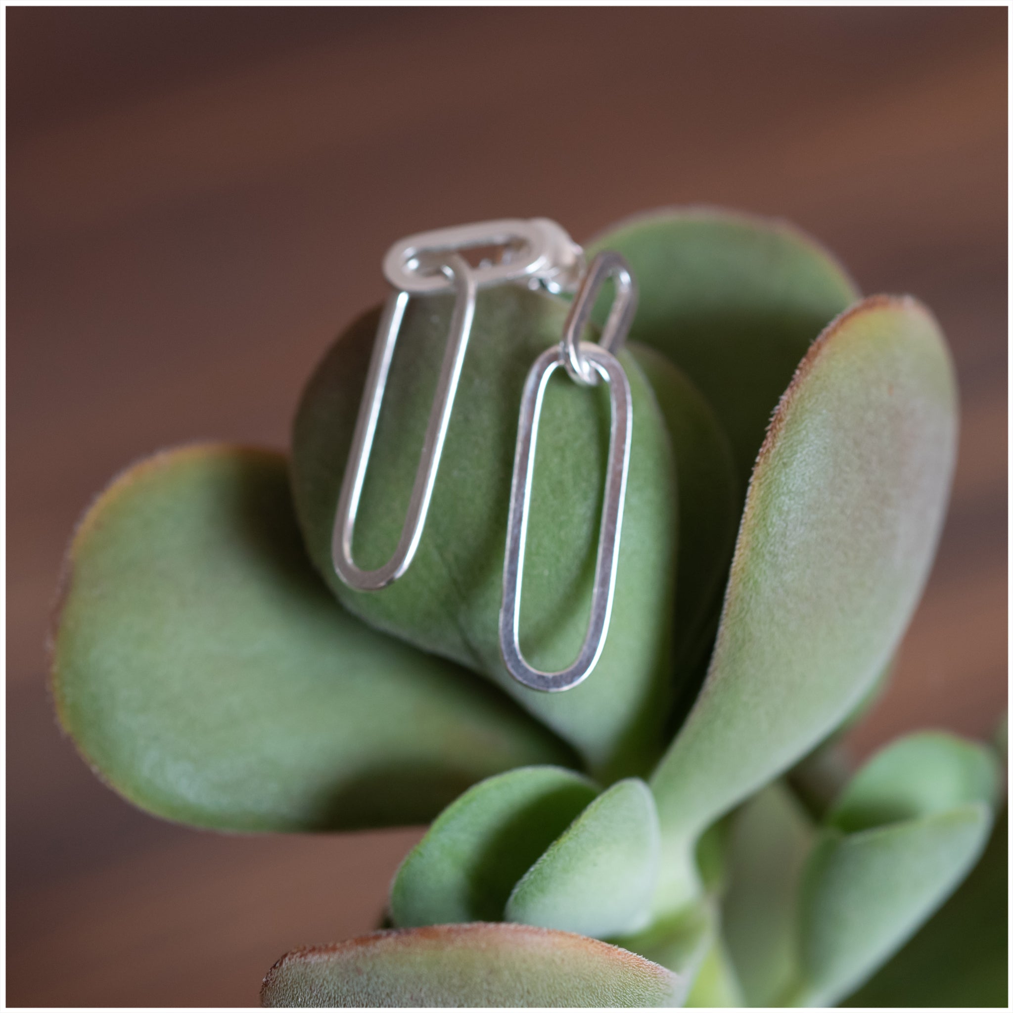 JEL004 - Sterling Silver Paper Clip Earrings - silverby-e.co.za
