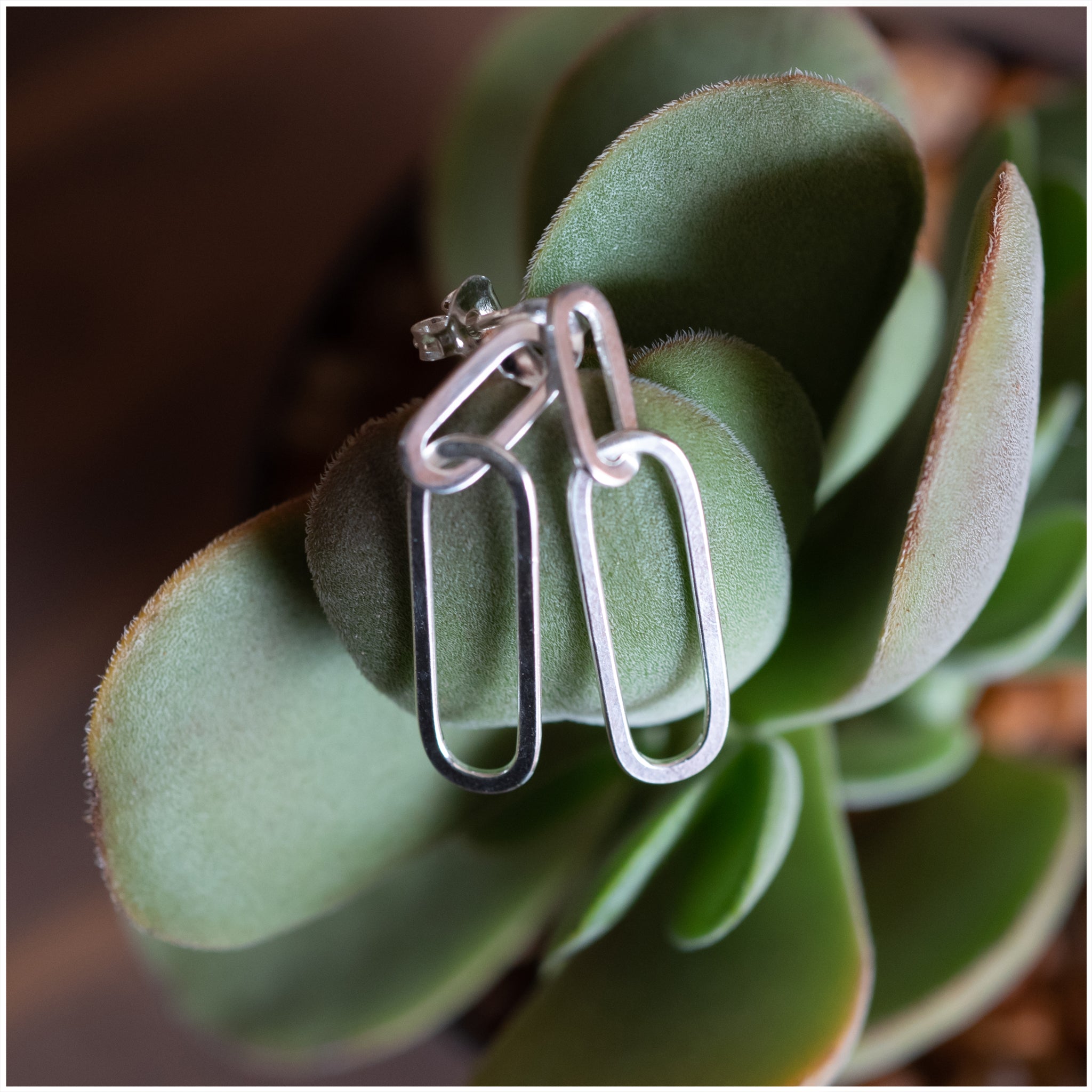 JEL004 - Sterling Silver Paper Clip Earrings - silverby-e.co.za