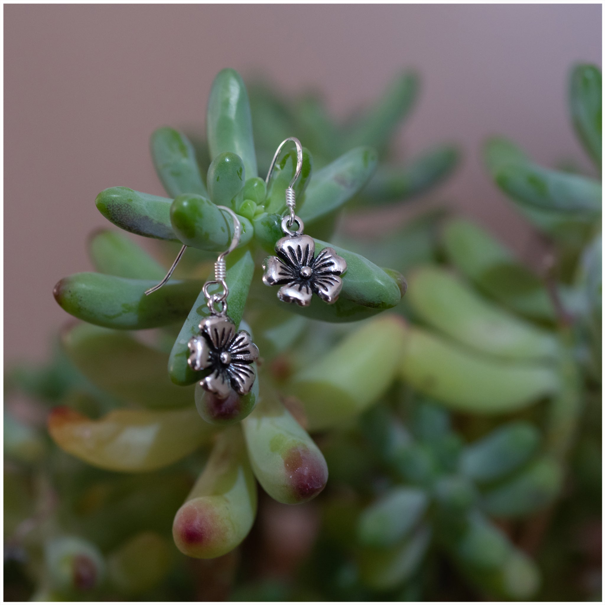 JEL005 - Sterling Silver Flower Earrings - silverby-e.co.za