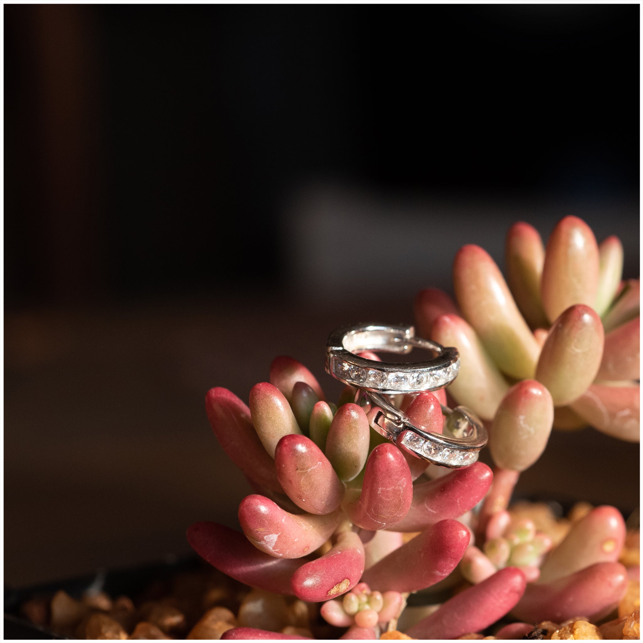 SES009 - Sterling Silver Hoop CZ Earrings - silverby-e.co.za