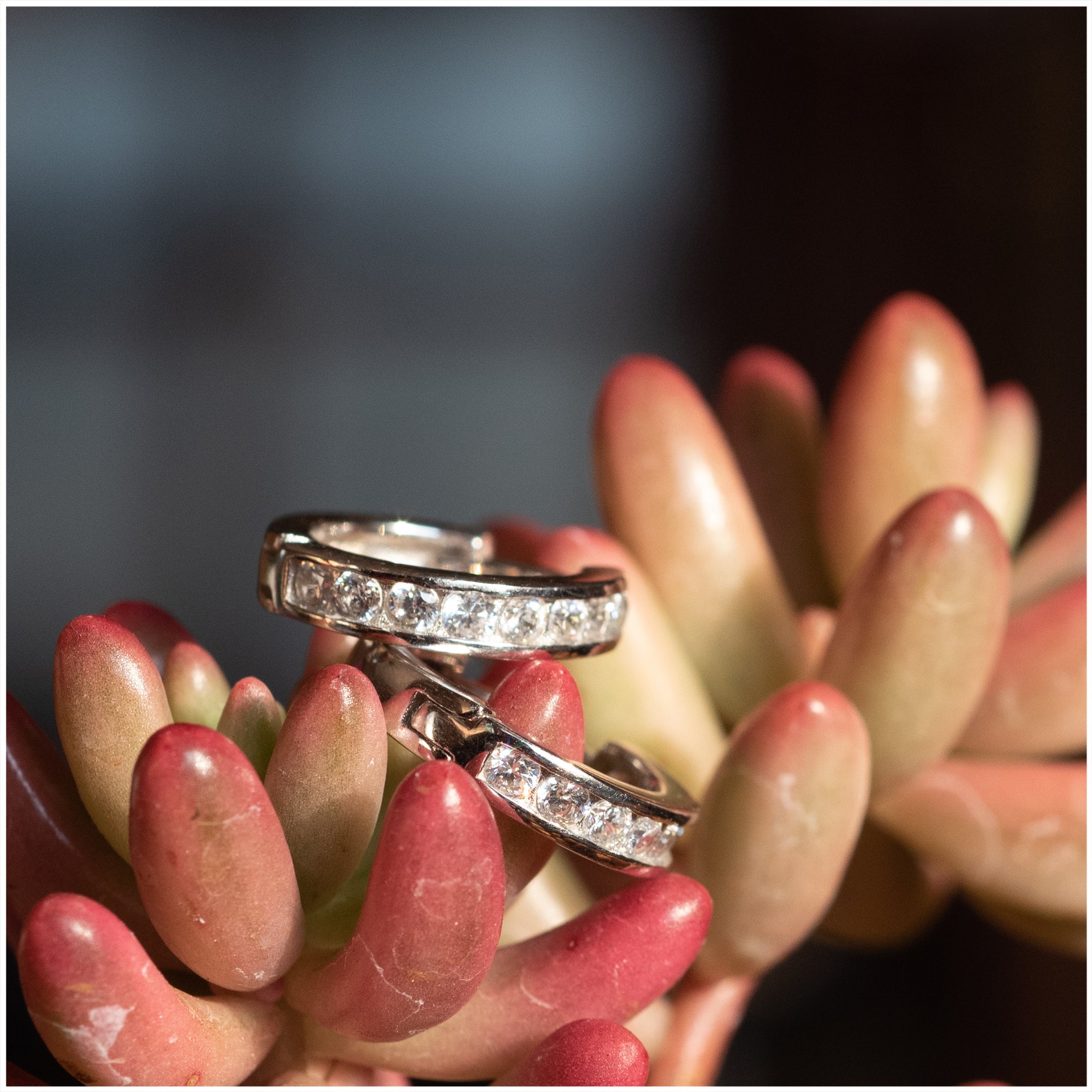 SES009 - Sterling Silver Hoop CZ Earrings - silverby-e.co.za