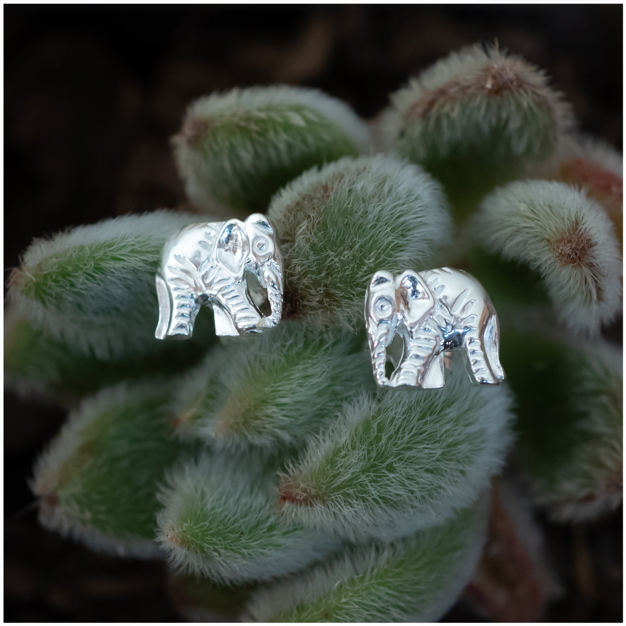 SES015 - Sterling Silver Elephant Earrings - silverby-e.co.za