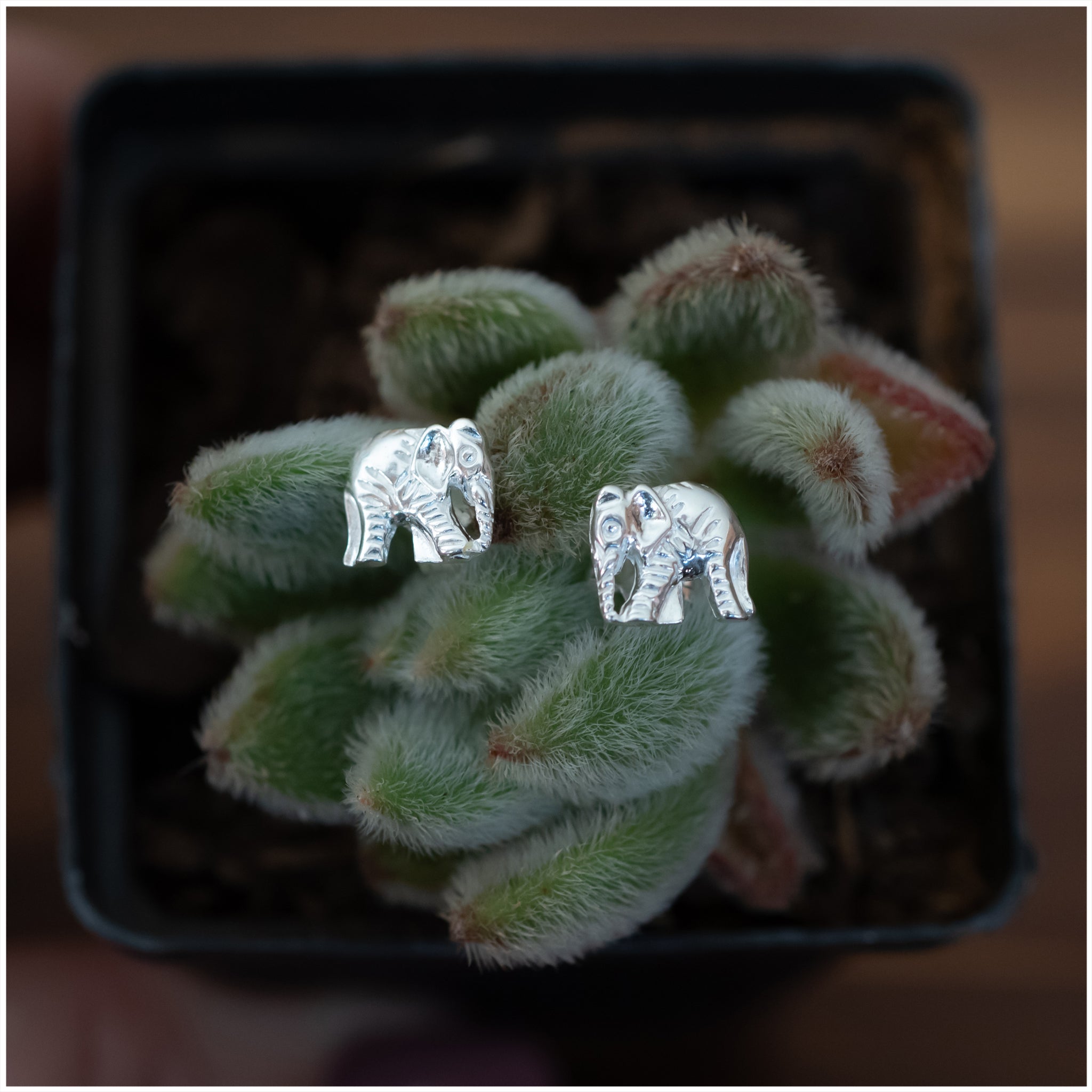 SES015 - Sterling Silver Elephant Earrings - silverby-e.co.za