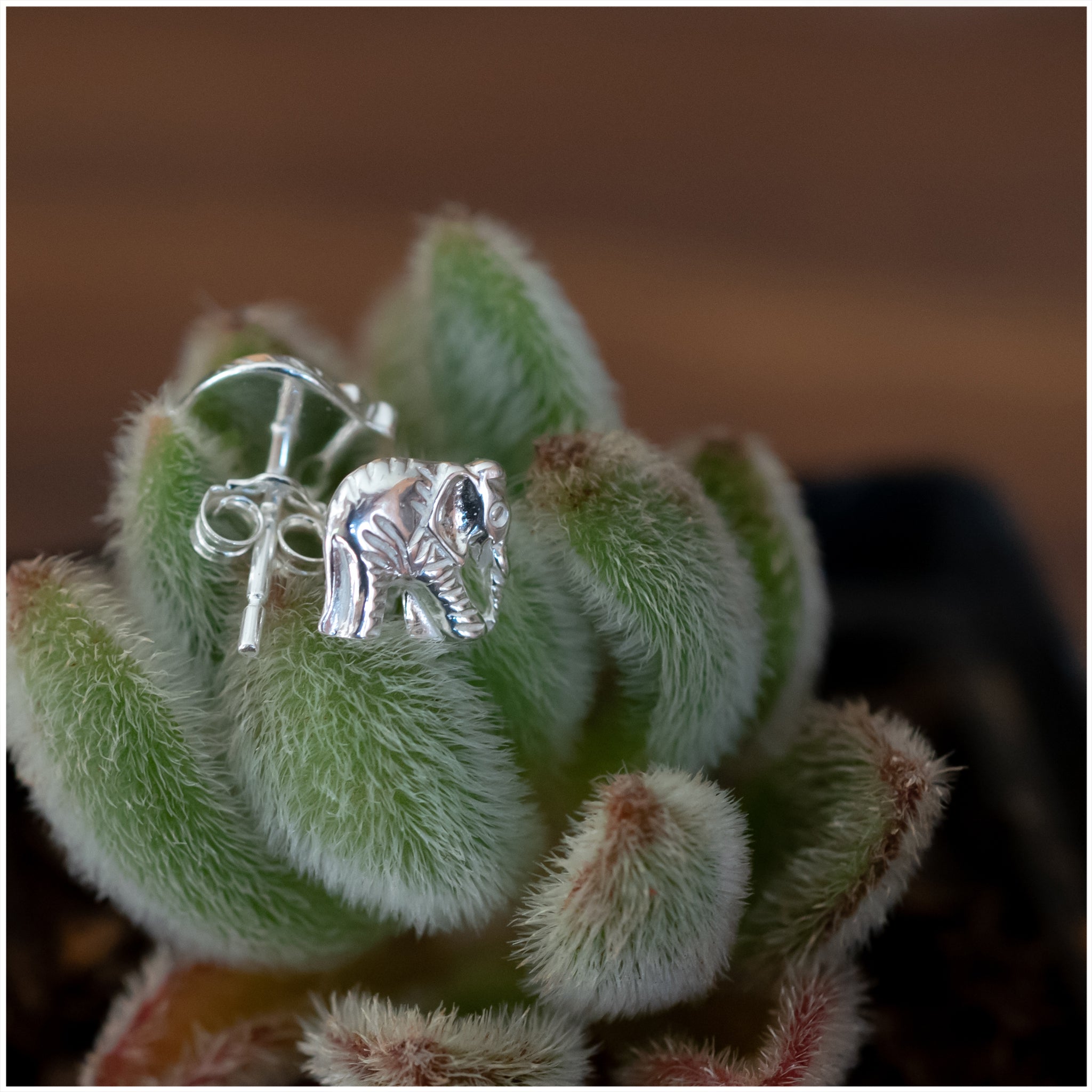 SES015 - Sterling Silver Elephant Earrings - silverby-e.co.za