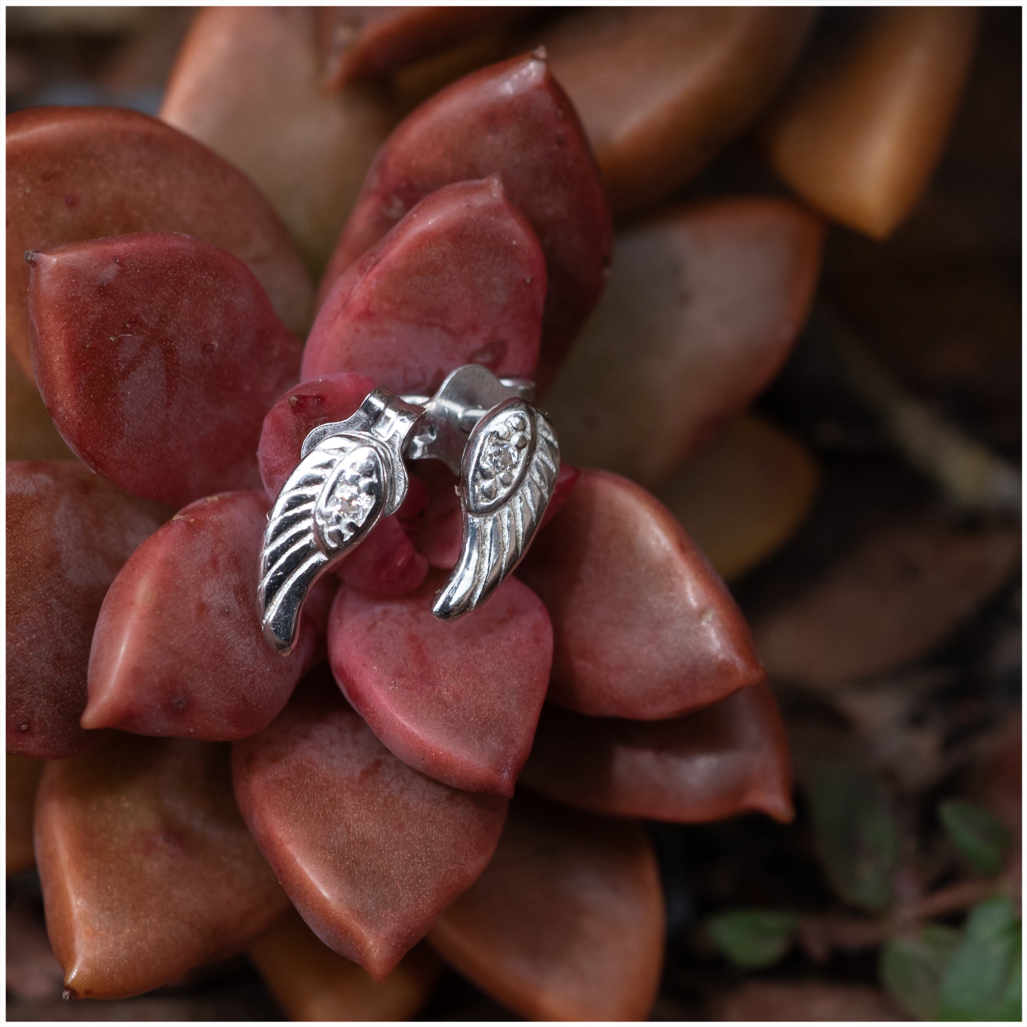 SES016 - Sterling Silver Angel Wings with CZ Studs - silverby-e.co.za