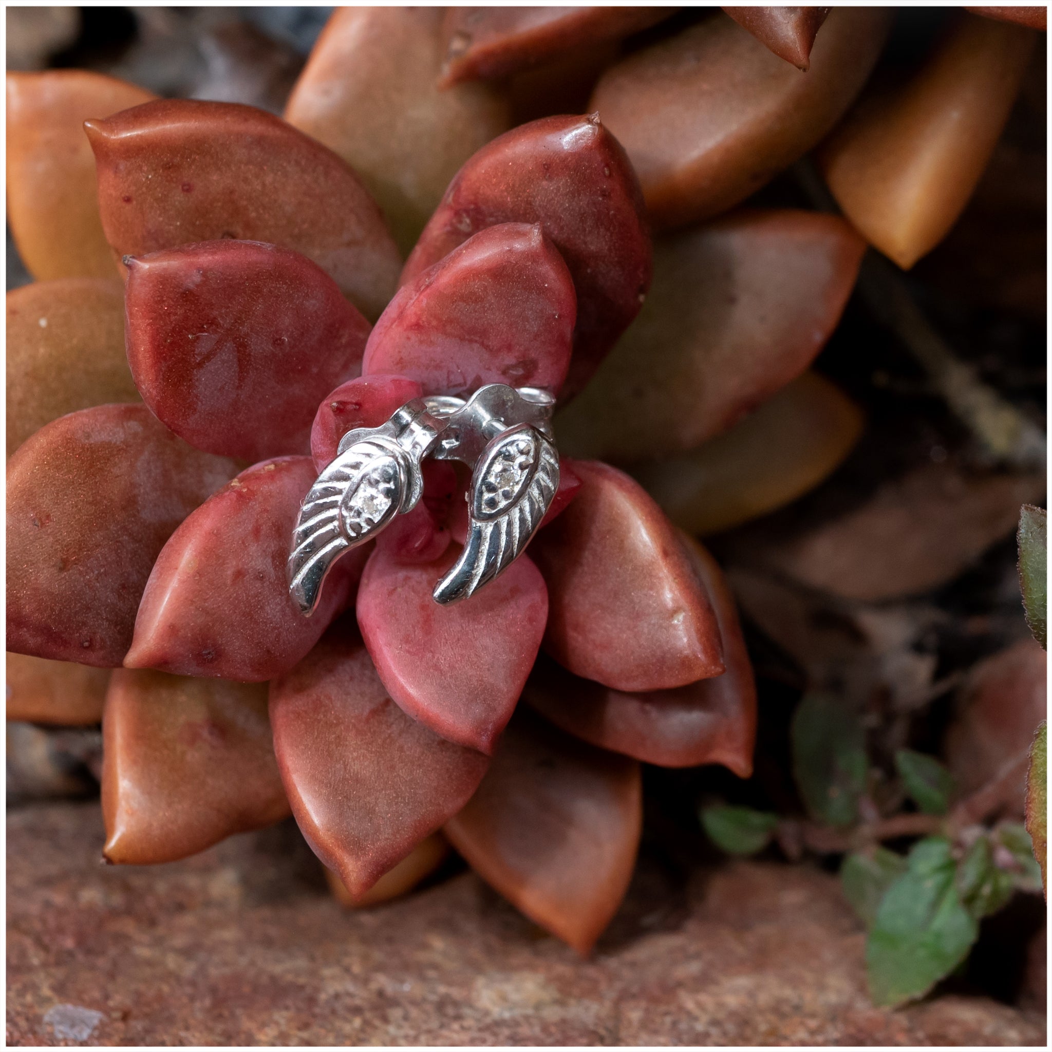 SES016 - Sterling Silver Angel Wings with CZ Studs - silverby-e.co.za